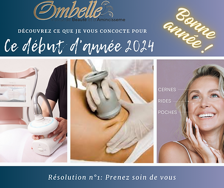 bonne année 2024.png