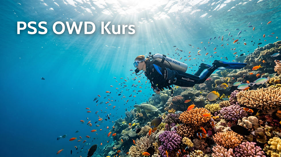 PSS - Open Water Diver (OWD)
