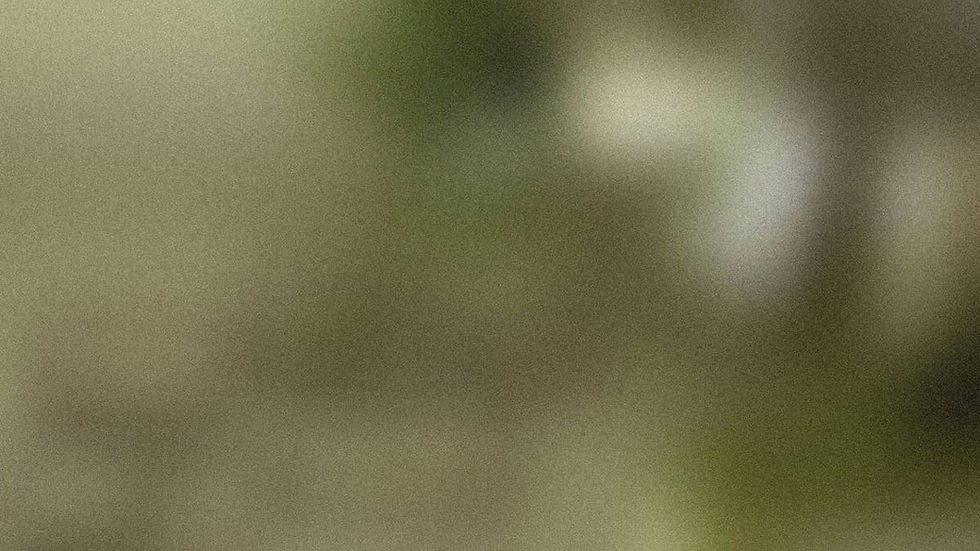 Backgound Image_2_edited.jpg