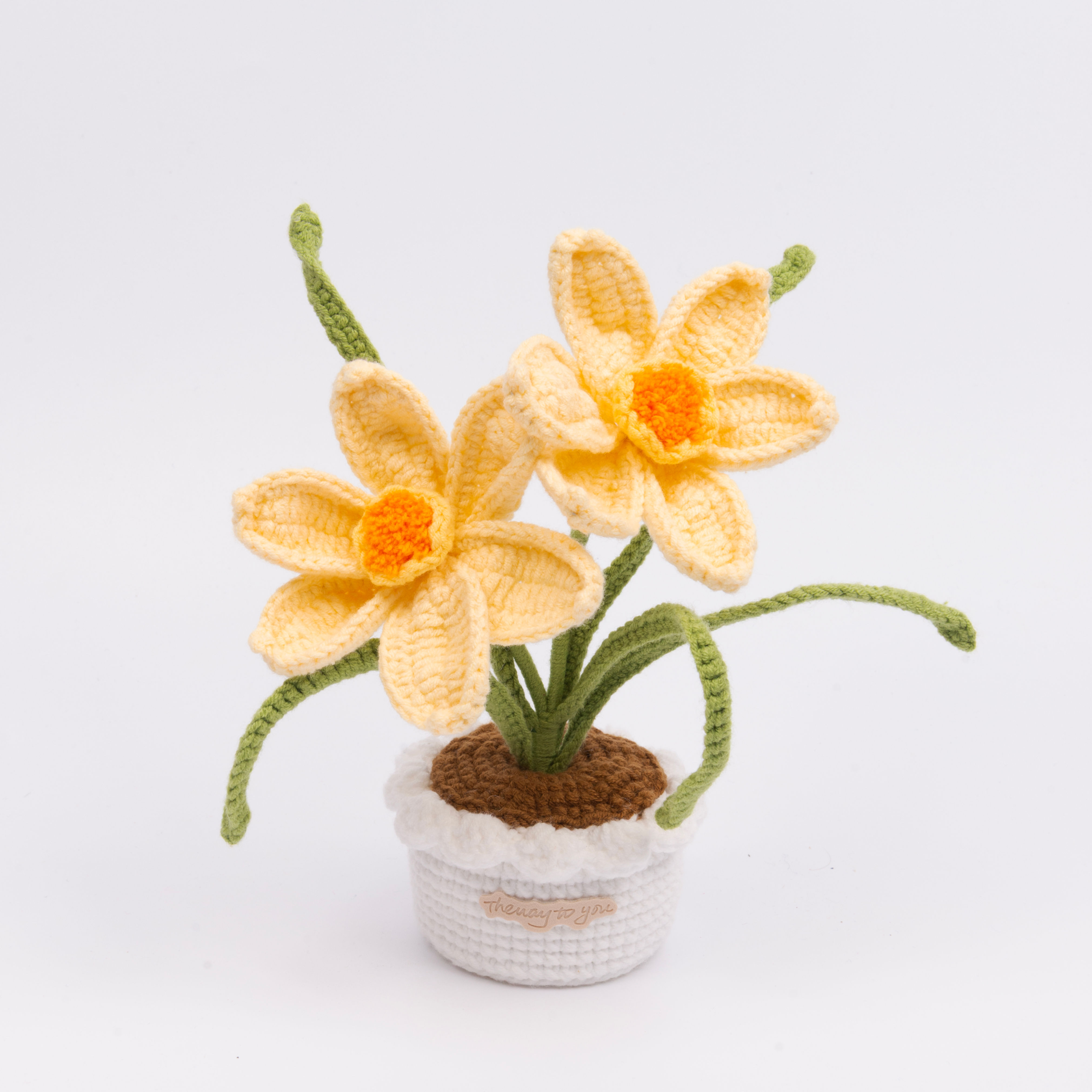 Daffodil Pot
