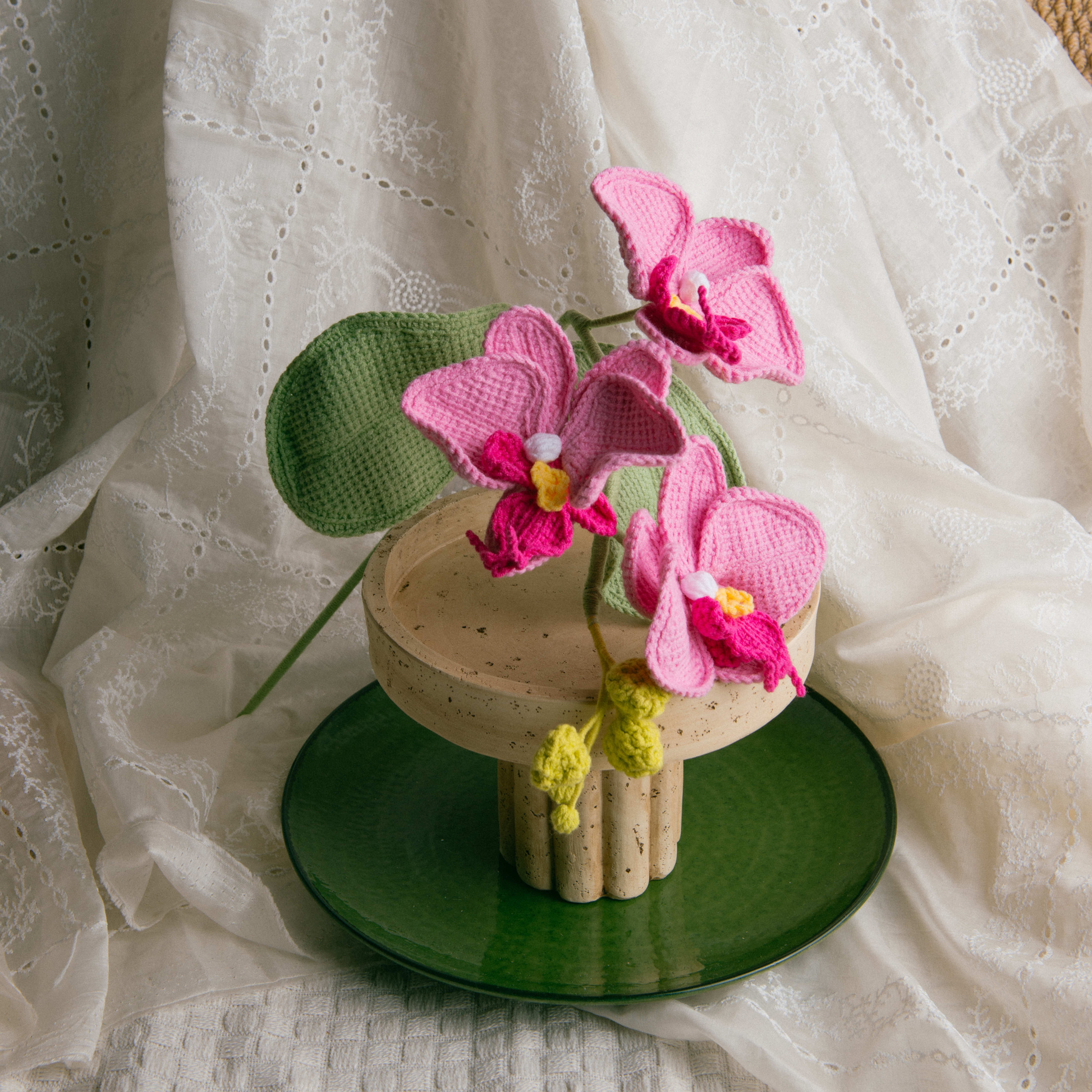 Royal Moth Orchid