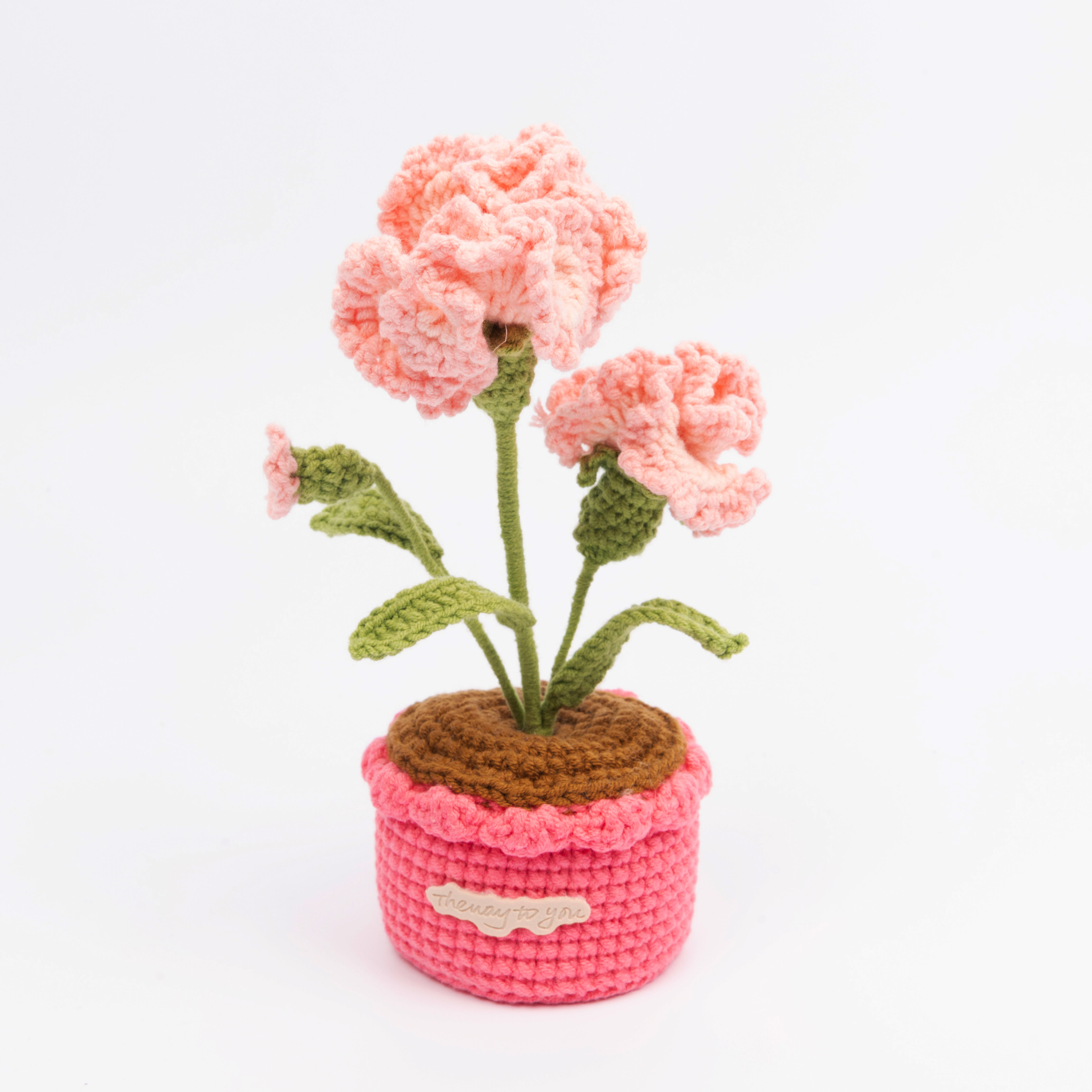 Carnation Pot