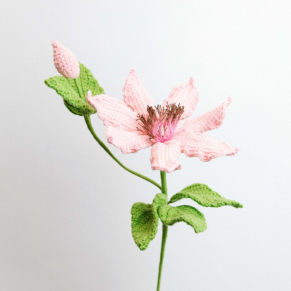 Thumbnail: Clematis