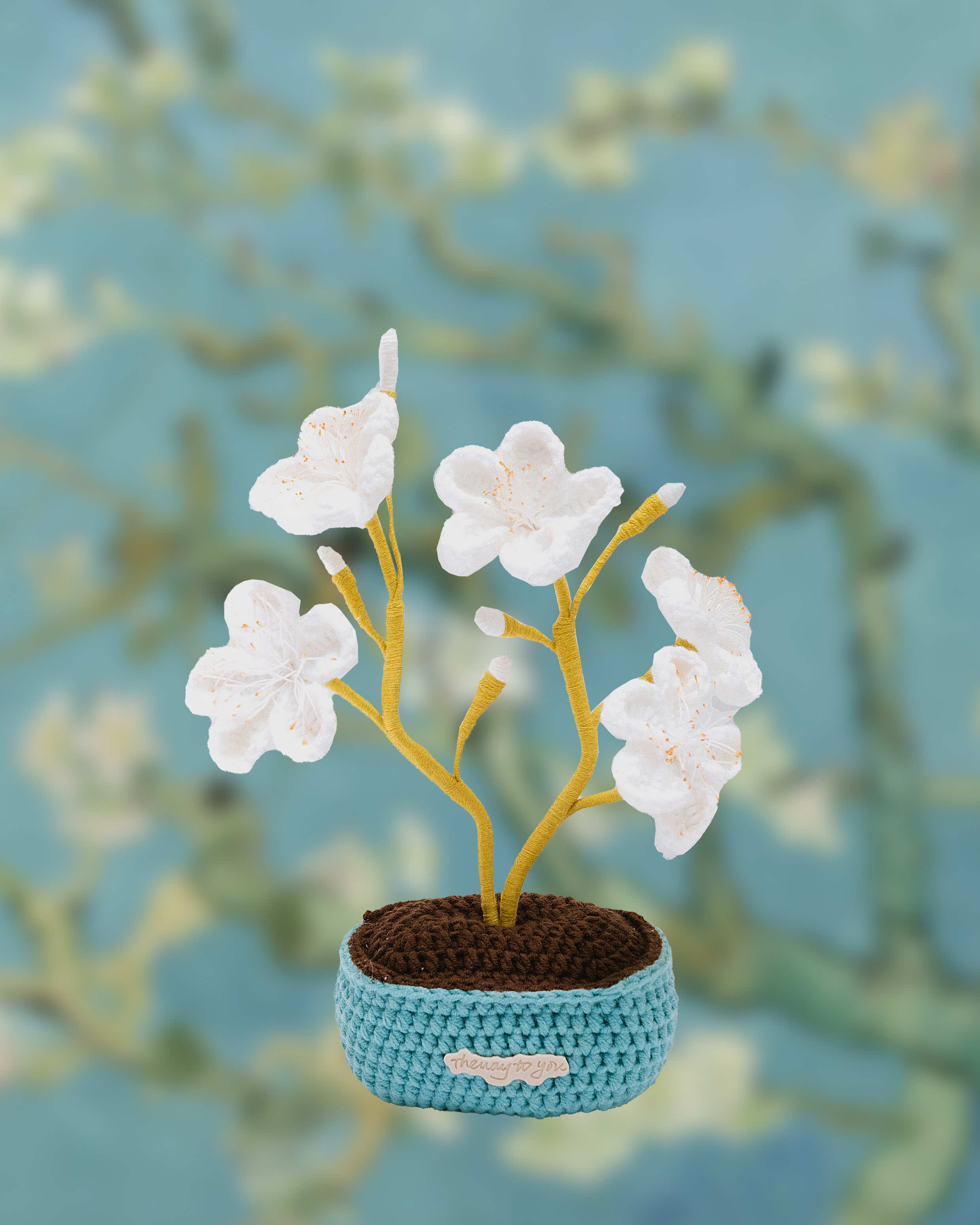 Master’s Almond Blossom