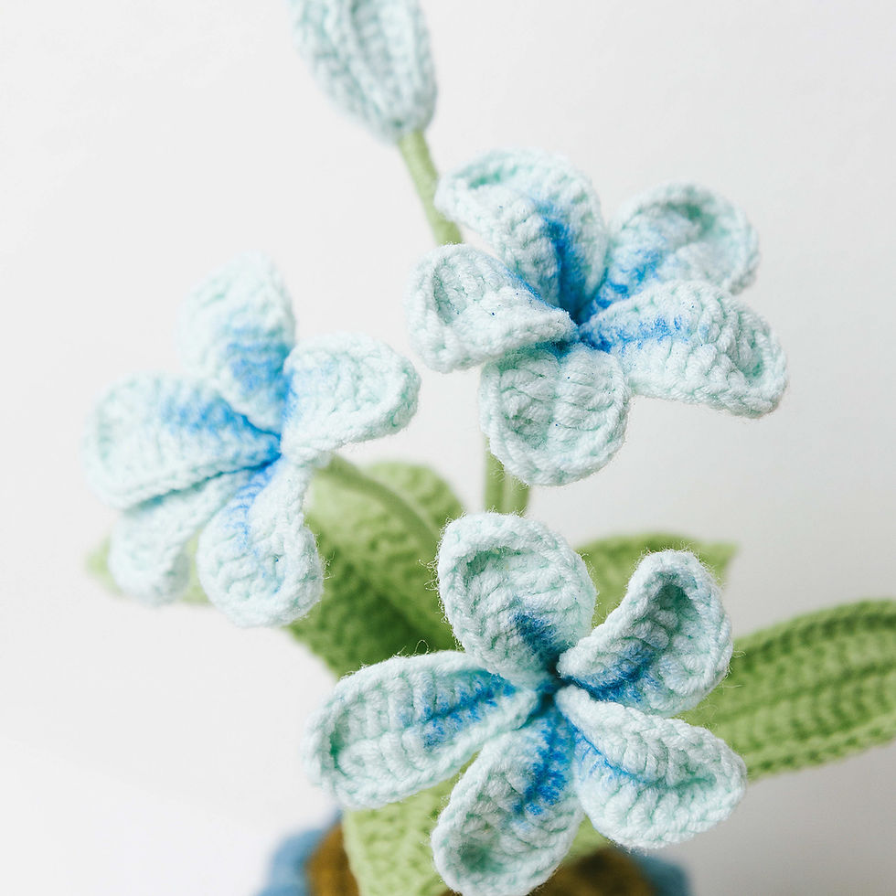 Thumbnail: Frangipani Pot