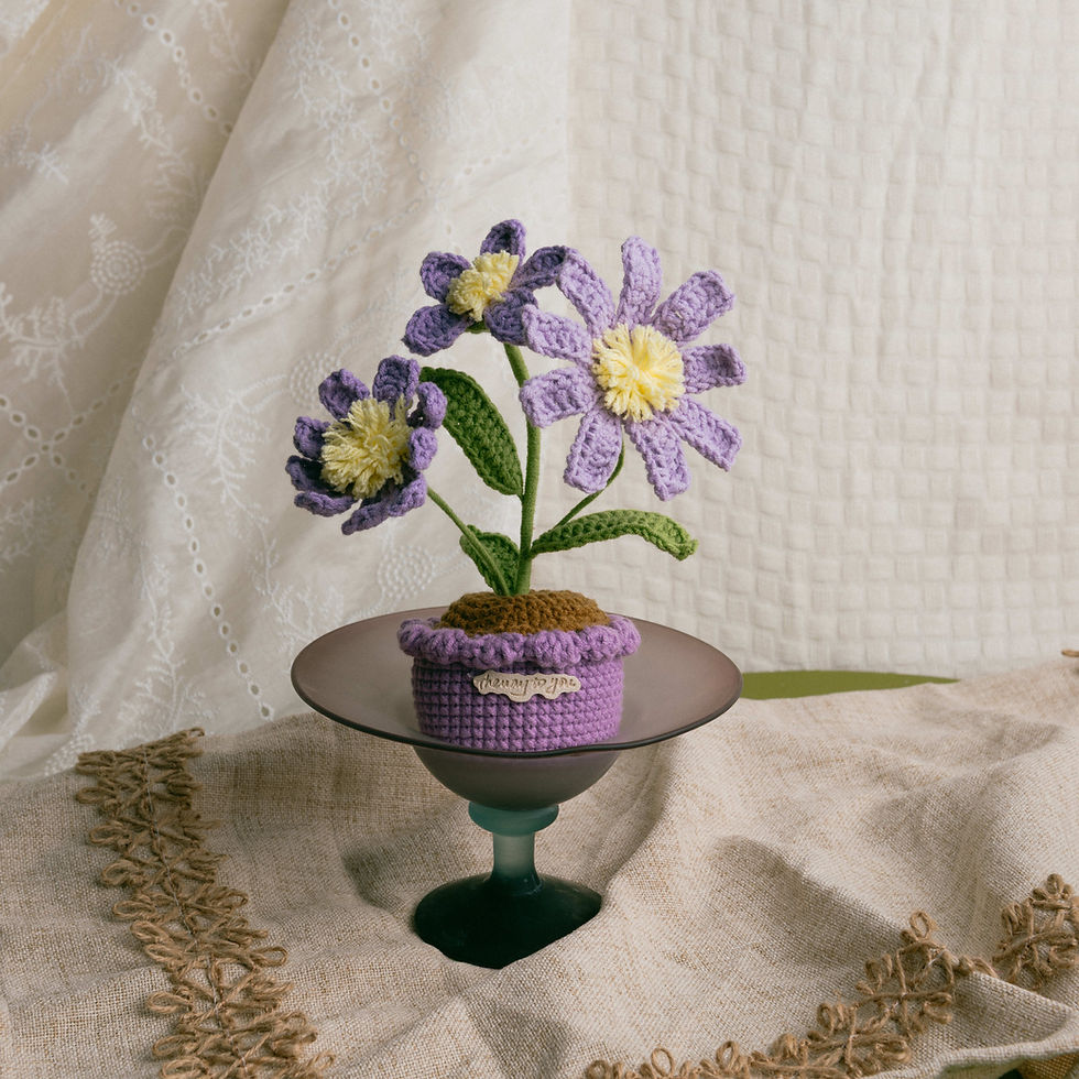 Thumbnail: Aster Pot