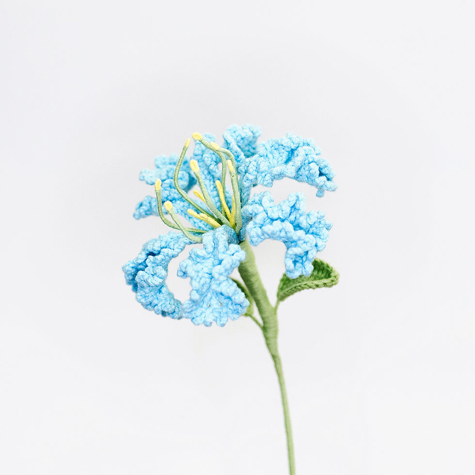 Thumbnail: Crepe Myrtle