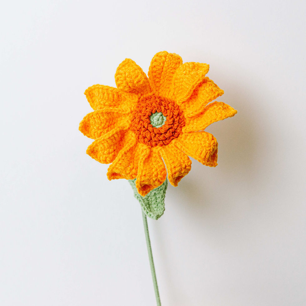 Thumbnail: Gerbera