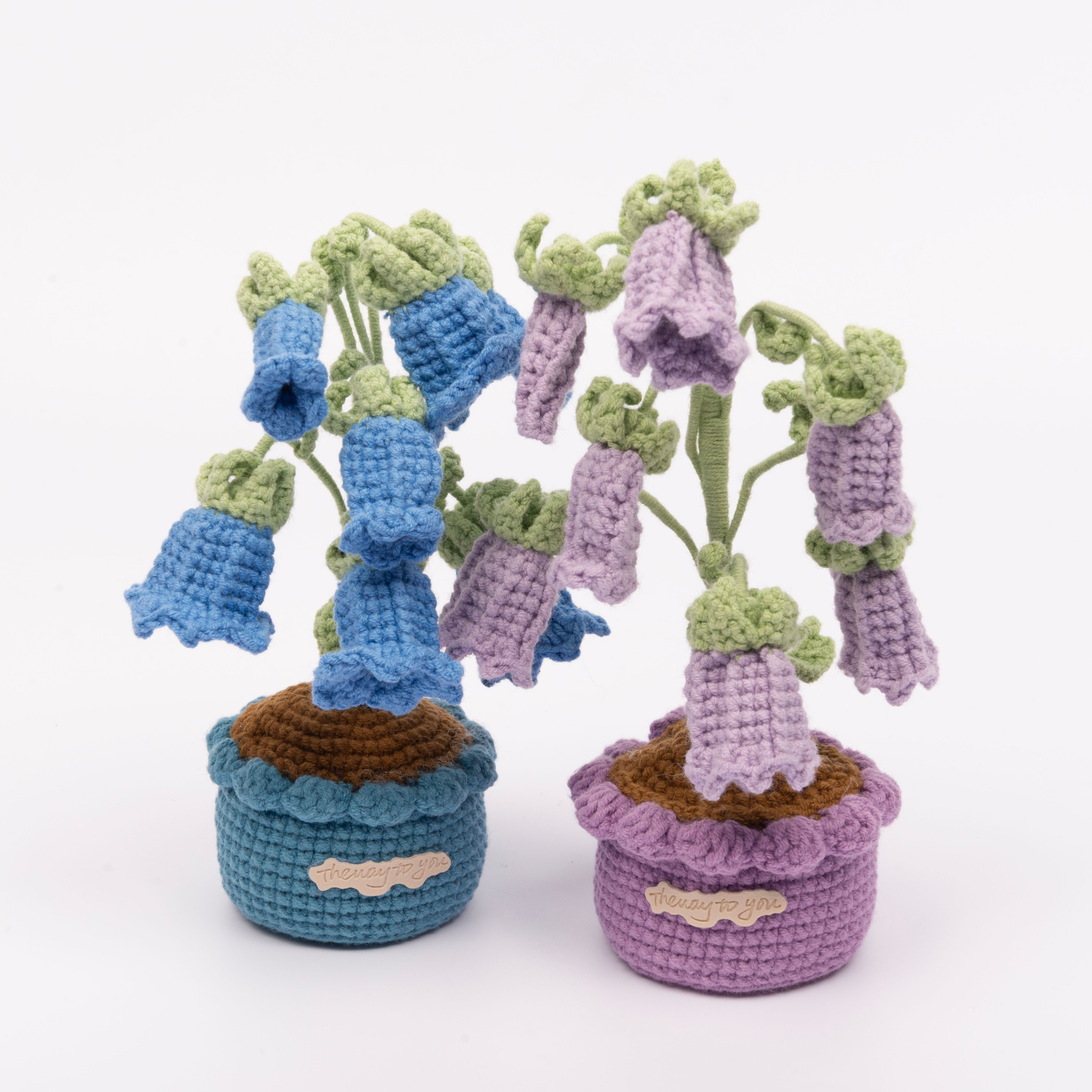 Bluebell Pot