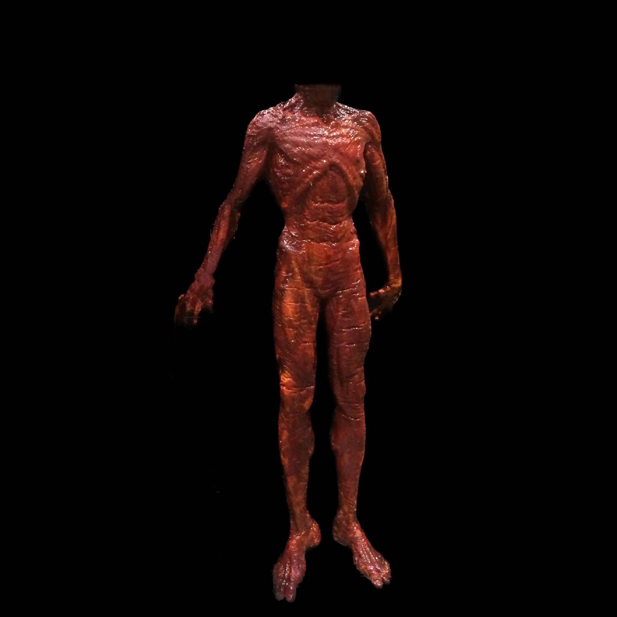 Skinned Body Headless