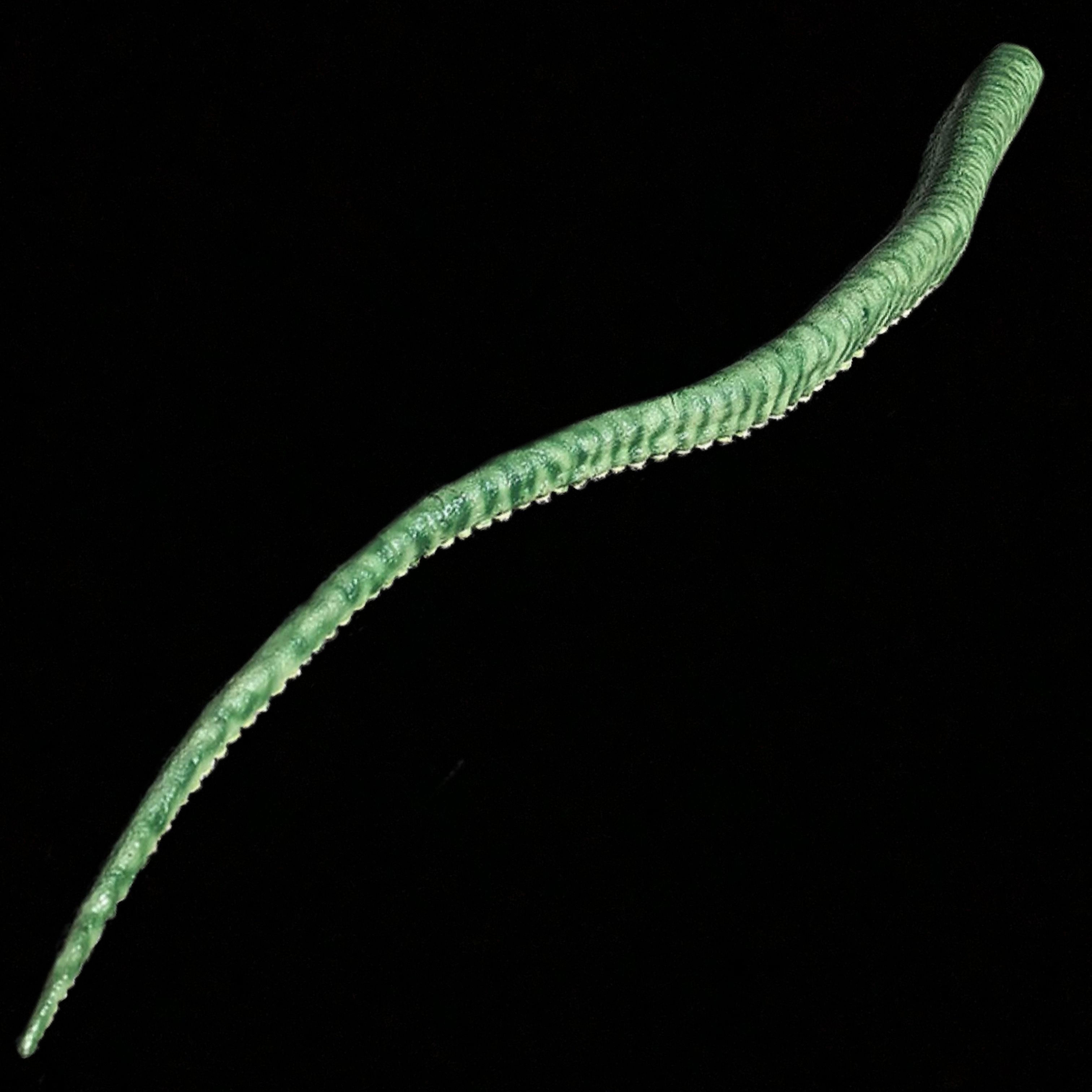 Green Alien Tentacle