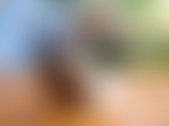 Analyse de ventes soft drinks: transformer les bulles en croissance business