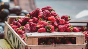 L'importance de la transparence de la donnée dans la transition alimentaire