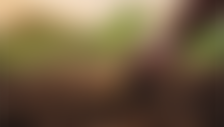 Jeux Olympiques 2024 : comment réussir l’épreuve d’une alimentation pour tous ?