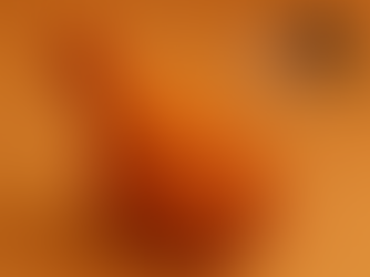 Food Side Story : Quand le poulet frit étend ses ailes