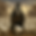 1752290889684_eaj3t4_f8c65a975cad4245a08f1deaf7830760_1_1752290887_6618_watermarked.png