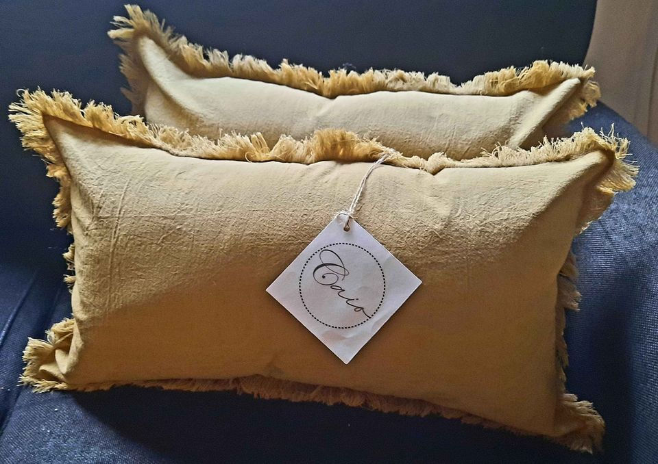 Almohadones Completos Tusor Liso Desflecado