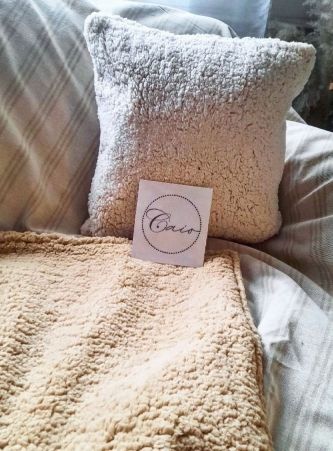 Almohadones Corderito