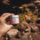 Thumbnail: Restore Salve