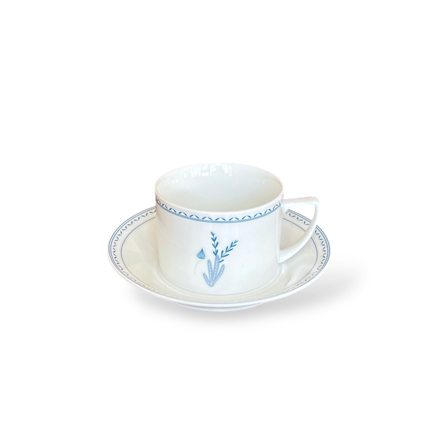 Blue plant Coffee Cup and Saucer Set