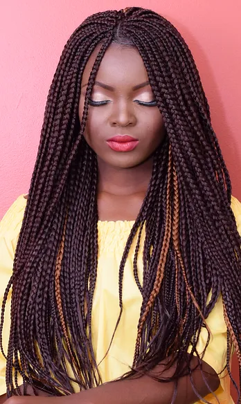 Seddebbraids Braided Wig Twist Wig | Seddeb Braids