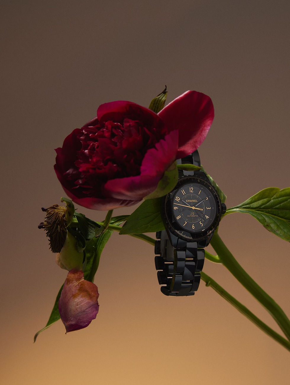 Chanel x RELOJES Y ESTILO