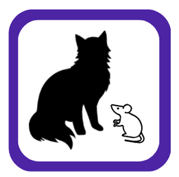 small graphic of fluffy cat and a mouse standing side by side.