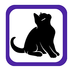 small graphic of a black kitten with one white whisker