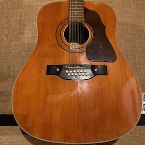Shaftsbury 12 String