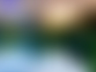 Embracing Litha: Celebrating the Summer Solstice