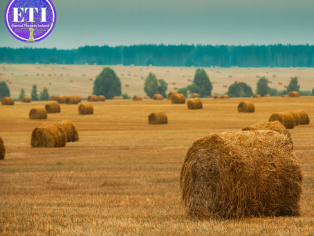 Lughnasa: Celebrating the Celtic Harvest Festival: