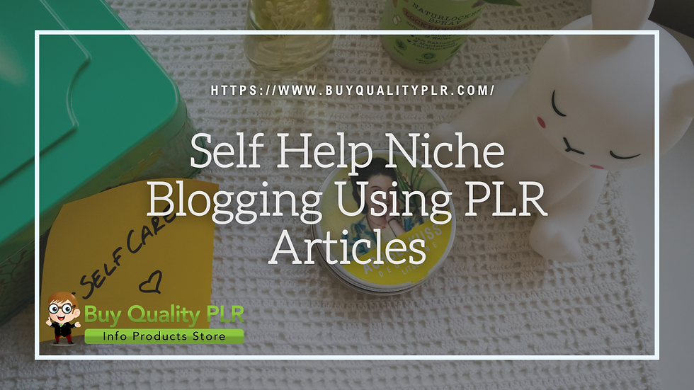 Self Help Niche Blogging Using PLR Articles