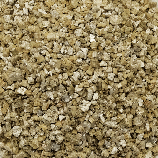 Vermicul.gif