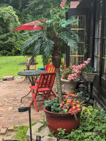 Papillons A Paris ( Butterflies in Paris faux bistro