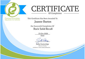 JO certificate-rock-solid-recall.jpg