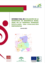 Asistencia técnica al Programa de Competitividad Territorial de la Región Centro de Santa Fe (Argentina) en el diseño del Sistema de Información Territorial.