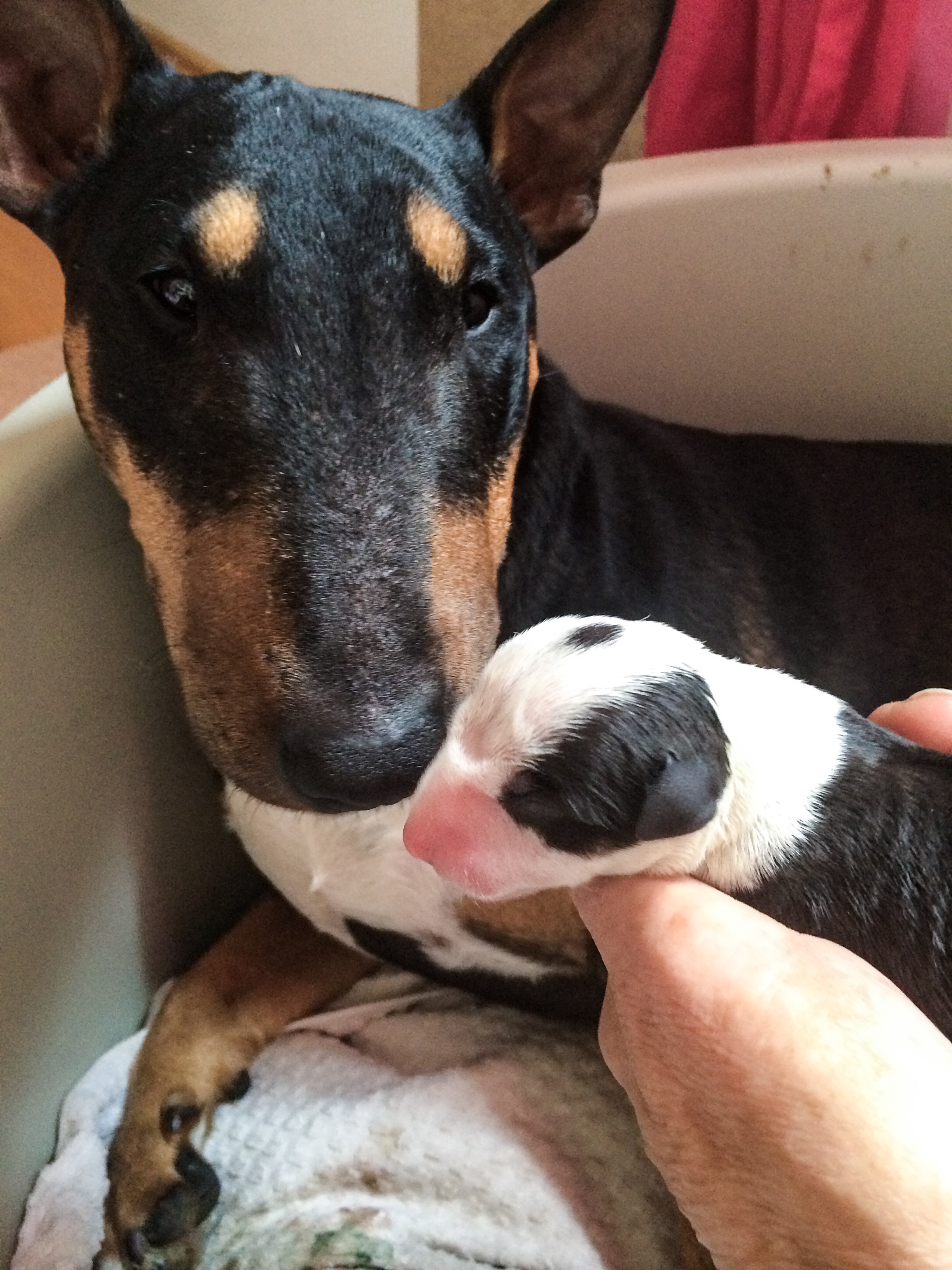 Mama und Mädchen