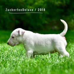 Zuckerfee Deluxe Dolly Sweet MBT