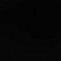 backgrounds-savage-vinyl-backgrounds-sa-v20-01.jpg