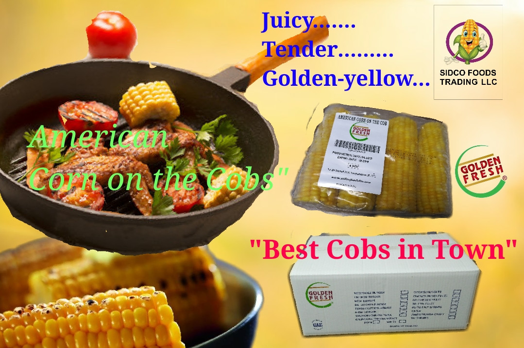 Corn on cob supplier in Dubai UAE - Sidco Foods Trading ...