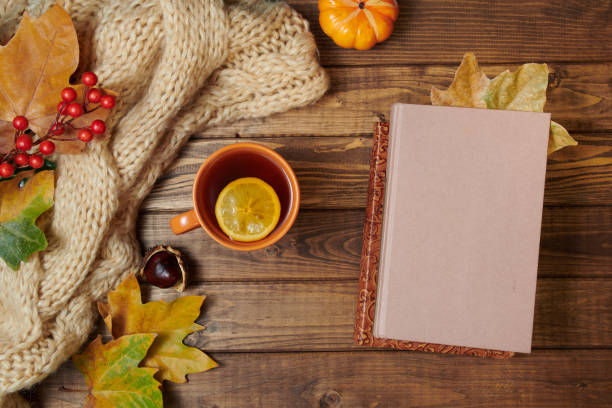 🍂 What Is an Ayurvedic Cleanse—And Why Fall Is the Perfect Time