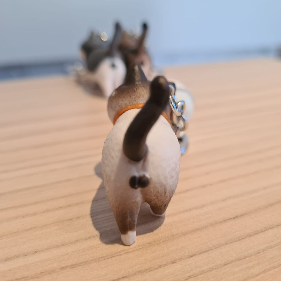 Miniatura: Chaveiro - Gatinho Sialata