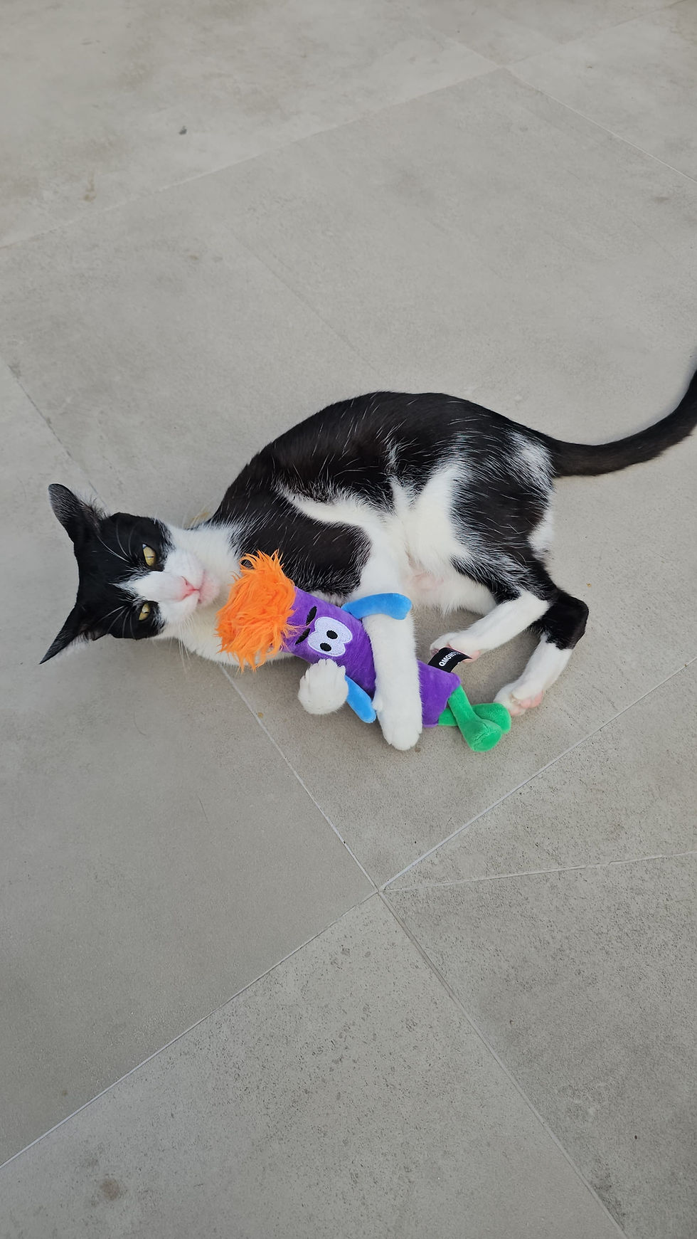 Miniatura: Brinquedo Monster Pelúcia com Catnip Roxo