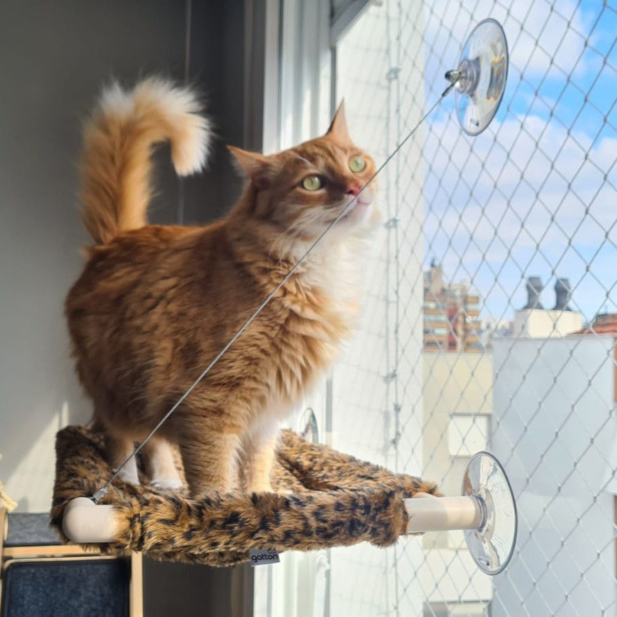 Cama de Janela Catbed de Pelúcia Oncinha