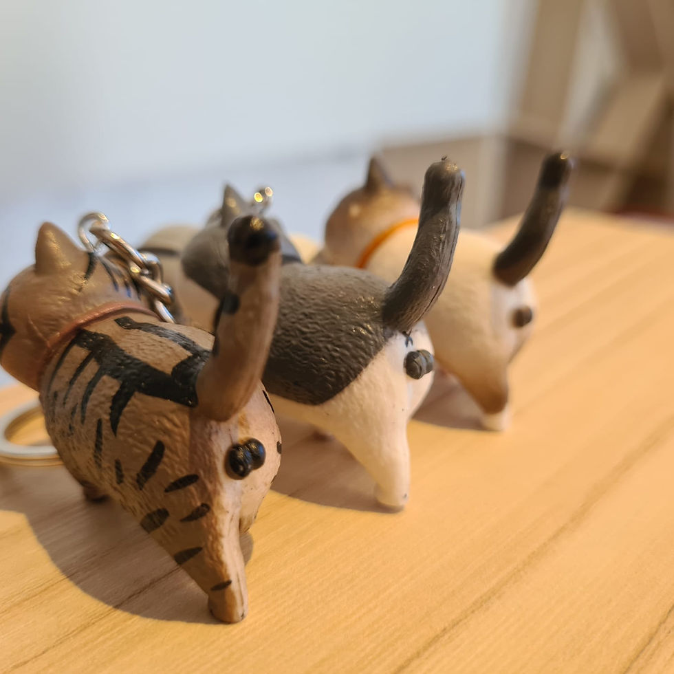 Miniatura: Chaveiro - Gatinho Sialata