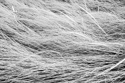AdobeStock_86365096.jpeg