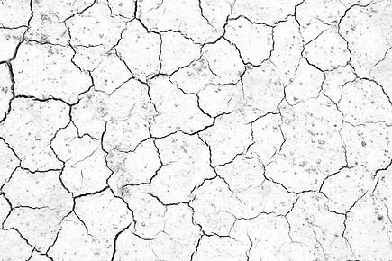 AdobeStock_117188190.jpeg