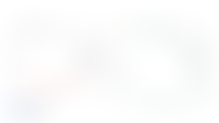 Lead qualification data showing credit score available credit and income for high-ticket sales