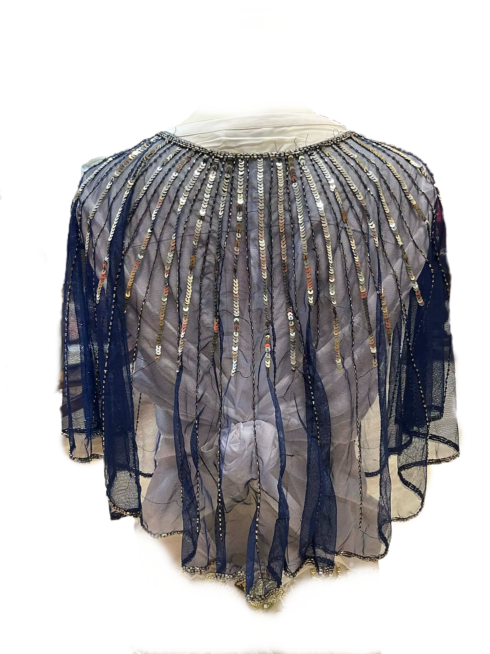 Miniatyrbilde: Blue Net Cape