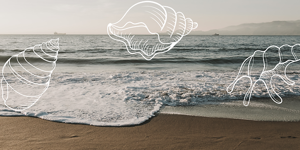 DEEPER DIVE WELLNESS BANNER (1).png